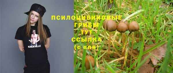 амф Алзамай