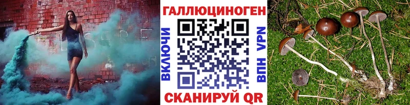 нарко площадка Telegram Агрыз Галлюциногенные грибы ЛСД